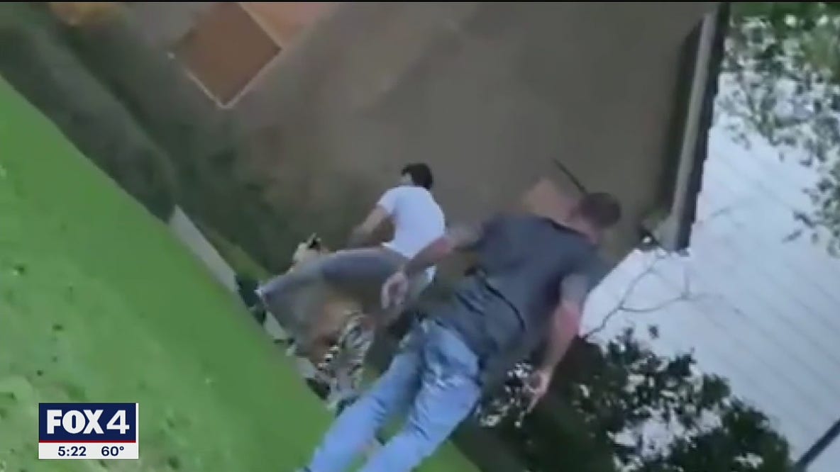 Video shows tiger in front yard of Houston neighborhood